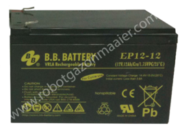 12AH-12V SLA Accu   